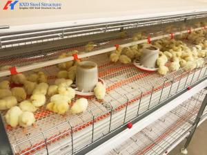 Quality Fully Automatic Poultry Farm Equipment , Galvanized Poultry Farm Layer Cage wholesale
