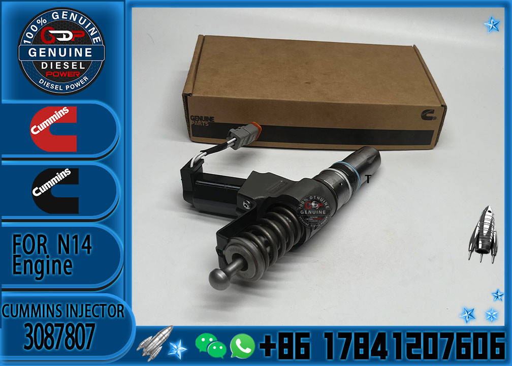 3087807 Common Rail Diesel Fuel Injector 3411764 3087733 3087807 For Cummins QSN14 N14