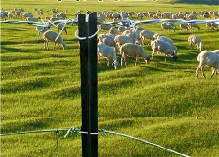 5ft Y Fence Post Powder Coated Black Green Or Hot Dip Galvanized