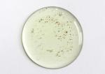 Organic Green Tea Foaming Cleansing Gel For Skin Refreshed / Balanced