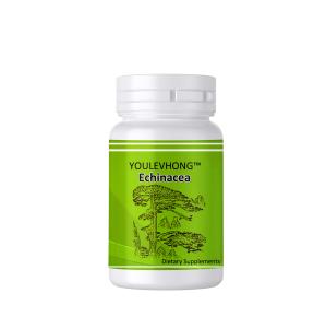 Quality Echinacea Supplements Daily Health Brain Food Supplements Wound Healing wholesale
