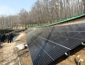Quality 50KW On Grid Solar System wholesale