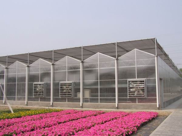 Glass Covered Vertical Hydroponic System for Growing Vegetables Fruits and Flowers