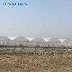 Agricultural Commercial Industrial Plastic Film Tomato Grow System 150 Micro