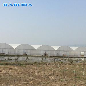 Quality Agricultural Commercial Industrial Plastic Film Tomato Grow System 150 Micro Multi Span Greenhouse wholesale