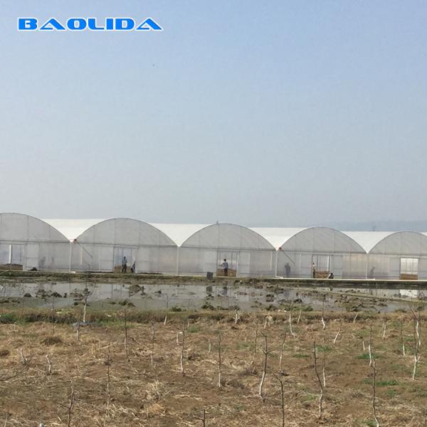 Agricultural Commercial Industrial Plastic Film Tomato Grow System 150 Micro