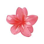 Egg flower hair accessories all-match claw clip
