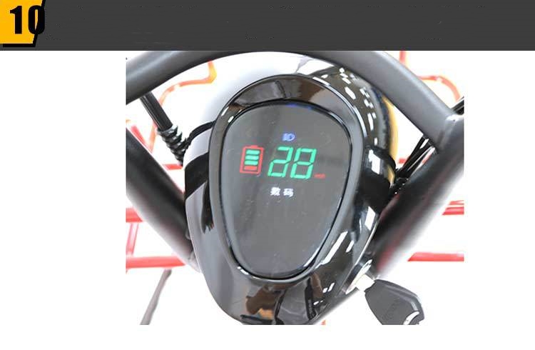 20 Inch Electric City Bike Step Through 48V 350W Dual Battery E Bike For Adults