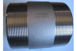 Quality stainless steel pipe nipples wholesale