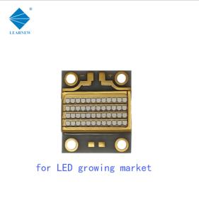 Quality ALN Coppering 126W LED COB UV 54000mW Ultraviolet LED Chip wholesale