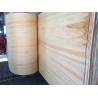 Buy cheap bleached poplar veneer, full poplar wood sheet from wholesalers