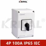 IP65 230V 440V 100A IEC standard Waterproof Rotary Cam Switch