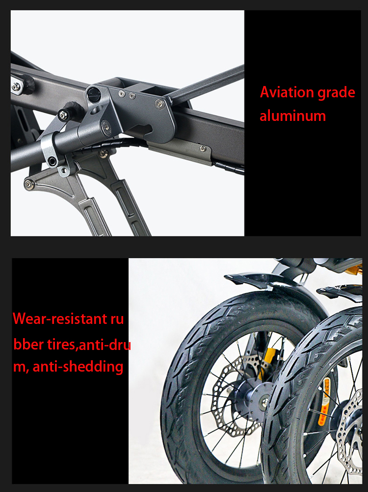 Folding Portable Electric Tricycle Bike 350W 48V Motor LCD Display