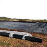 High Surface Hardness HDPE Black Fish Pond Liner Plastic Geomembrane for Fish