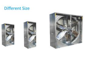 Quality 50 Inch Greenhouse Cooling Fans In Ventilation Six Blades Large Air Volume wholesale