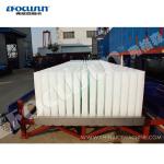 Fully Automatic 10T Block Ice Machine for Fresh Food Fishery Medical and Garden