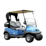 Club Car 2 Seater Electric Golf Cart 48V Battery