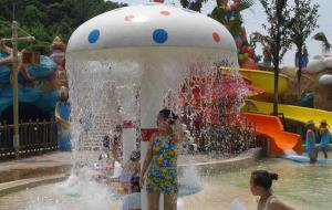 Quality Funny Kids Amusement Water Splash Park / Outside Water Games wholesale