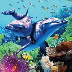 Quality PLASTIC LENTICULAR flip animal poster lenticular printing pictures with lenticular lens material wholesale