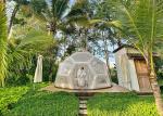 0.6mm PVC Inflatable Jungle Bubble Lodge Tent Football Shape