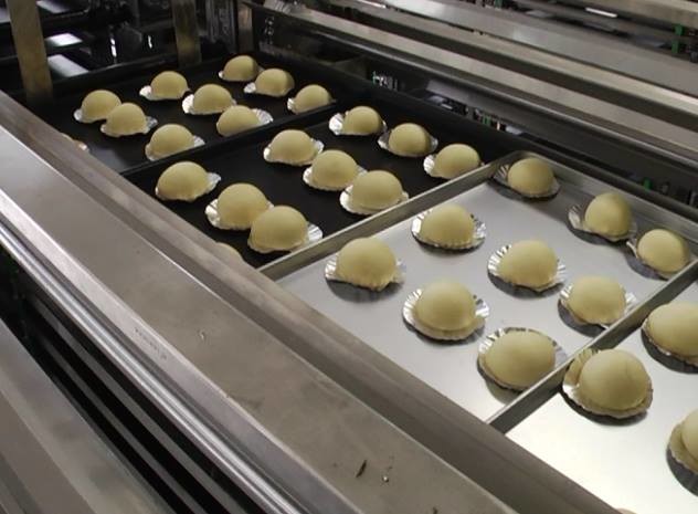Automatic Bakery Equipments Gas Tunnel Oven For Cake Breads Burger Buns Pizza Production Line