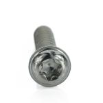 Non-standard Torx Drive Pan Head PT Thread Forming Stainless Steel WN5451 PT