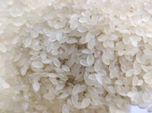 Quality CE ISO Fortified Artificial Rice Processing Line Machinery 1500kg wholesale