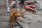 Electric Ride On Dinosaur Giganotosaurus , Realistic Animatronic Dinosaur
