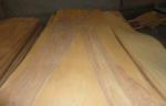 Nature Rotary Cut Birch Veneer Sheet A grade , Natural Wood Veneer