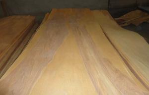 Quality Natural Rotary Cut Birch Veneer Sheet , Yellow rotary cut plywood wholesale