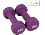 llb and kg weight colorful Neoprene Coated Round Shape Dumbbell