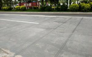 Quality 50Hz Weihgt In Motion Management System For Heavy Vehicle Axle Overload wholesale