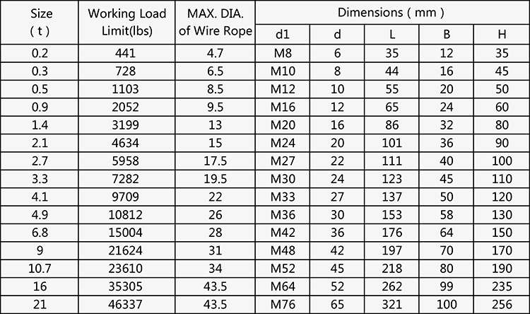 Customized Sized Acceptable Suspension Chains D Shackle Rigging