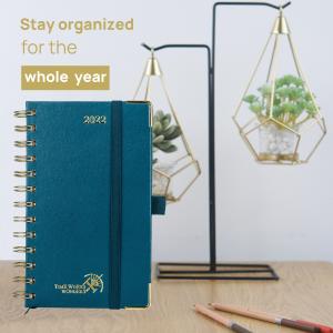 Quality 4.13''X6.75'' Medium Academic Planner 2023 Spiral In Pacific Green wholesale