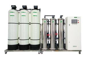 Quality 2T Double Pass Reverse Osmosis System Water Plant wholesale