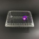 PET Recyclable Clamshell Packaging Box Plastic ISO9001