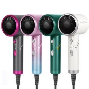 Quality DC Motor 1600W Household Hair Dryer Negative Ion Hair Care wholesale
