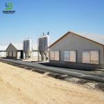 Customized Prefabricated Steel Construction Structure Pig Poultry Farm Broiler