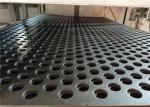 2mm Hole Diameter length 2m Metal Perforated Sheet For Speaker