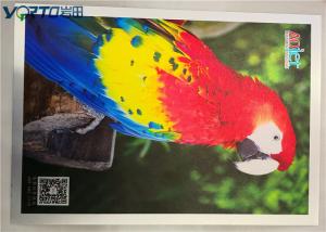 Quality Brushed Surface Sublimation Aluminum Sheets , Sublimation Metal Blanks wholesale