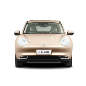 Quality Lady Mini EV Cars 150km/H Great Wall Ora Good Cat 105KW wholesale