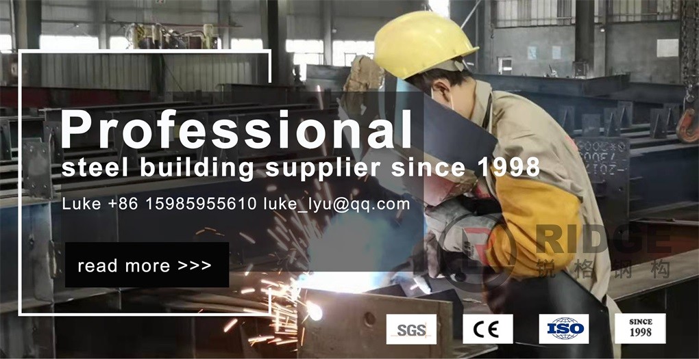 Prefabricated Steel Shed Construction Anti Corrosion Light Steel Garage Sheds