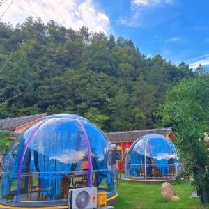 Quality Outdoor PC Home Dome Transparent Bubble Dome Tent For Dining Cafe/Villas/House/Resorts wholesale