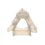 Dental Opposite Jaw Modeling Resin