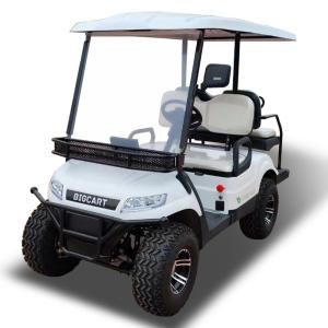 Quality White LED Termite Golf Cart Buggies 3.5KW Motor Color Customization wholesale