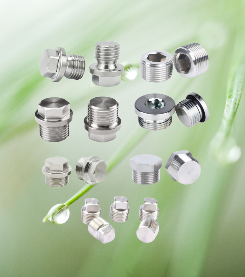10mm ALLOY Stainless Steel Hexagon Socket Pipe Plug Screw Din908 with ZINC Treatment Protection Guaranteed by 10-