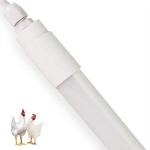 900mm LED Poultry light with CRI 90 50000 Hours Lifespan 0-10V Dimmable AC85