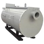 Horizontal Type Fire Tube Industrial Oil / Natural Gas Fired Wns Steam Boiler