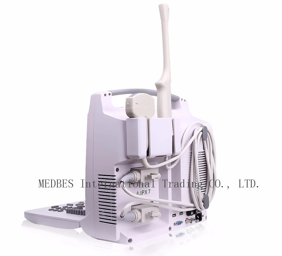 96 elements 12 inch LED Monitor Laptop Ultrasound Scanner