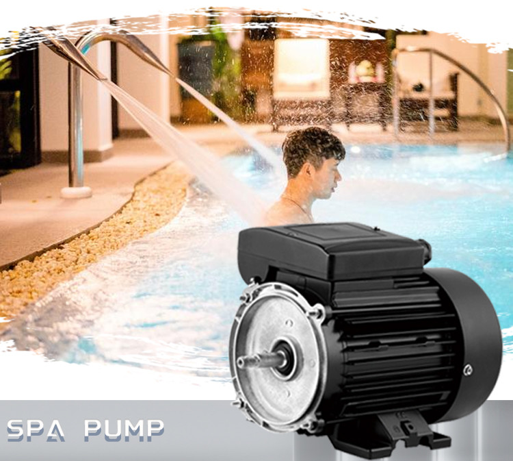Waterproof Aluminium Housing Single-Phase Asynchronous Motor for Swimming Pool Pump 1500rpm 220V 50/60Hz